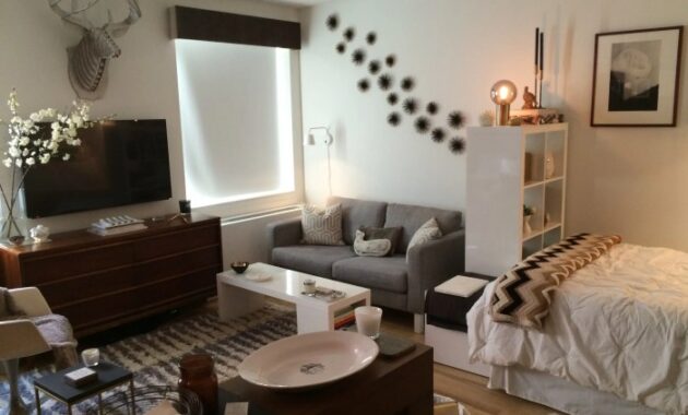 How to decorate a small single room apartment Tips and Tricks