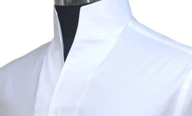 High Collar Mens Dress Shirts Stylish and Suave Selections for Men